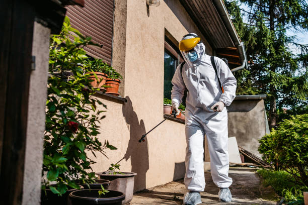 Best Pest Inspection Near Me  in Washington, NJ