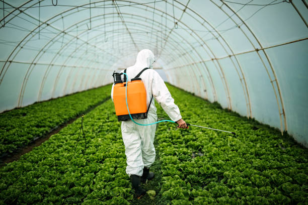 Best Pest Control for Restaurants  in Washington, NJ