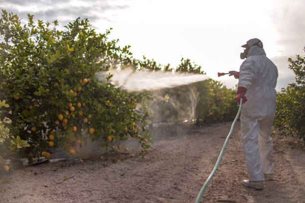 Best Pest Prevention Services  in Washington, NJ